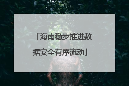 海南稳步推进数据安全有序流动
