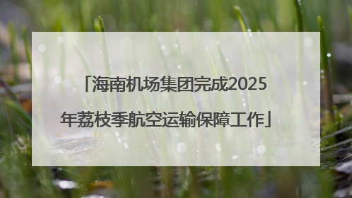 海南机场集团完成2025年荔枝季航空运输保障工作
