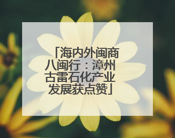 海内外闽商八闽行：漳州古雷石化产业发展获点赞