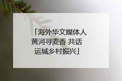 海外华文媒体人黄河寻麦香 共话运城乡村振兴