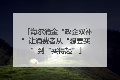 海尔消金“政企双补”让消费者从“想要买”到“买得起”