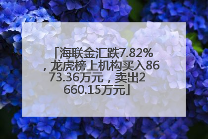 海联金汇跌7.82%，龙虎榜上机构买入8673.36万元，卖出2660.15万元