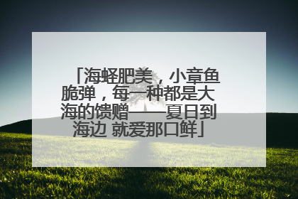 海蛏肥美，小章鱼脆弹，每一种都是大海的馈赠——夏日到海边 就爱那口鲜