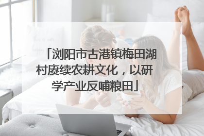 浏阳市古港镇梅田湖村赓续农耕文化，以研学产业反哺粮田