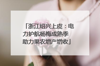 浙江绍兴上虞：电力护航杨梅成熟季 助力果农增产增收