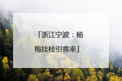 浙江宁波：杨梅挂枝引客来