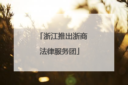 浙江推出浙商法律服务团