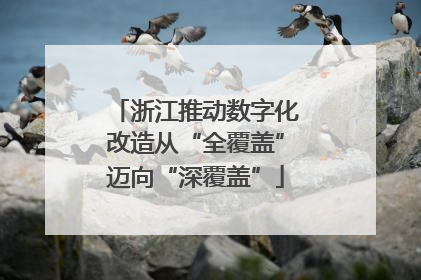 浙江推动数字化改造从“全覆盖”迈向“深覆盖”