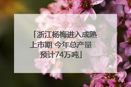 浙江杨梅进入成熟上市期 今年总产量预计74万吨
