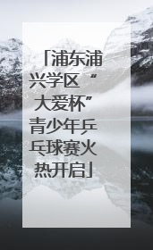 浦东浦兴学区“大爱杯”青少年乒乓球赛火热开启