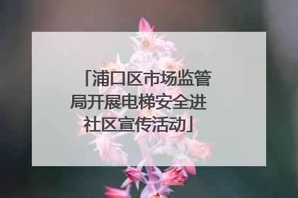 浦口区市场监管局开展电梯安全进社区宣传活动