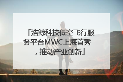 浩鲸科技低空飞行服务平台MWC上海首秀，推动产业创新