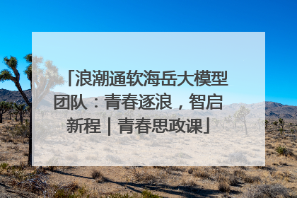浪潮通软海岳大模型团队：青春逐浪，智启新程｜青春思政课