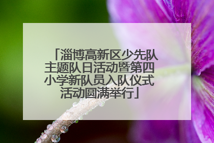 淄博高新区少先队主题队日活动暨第四小学新队员入队仪式活动圆满举行