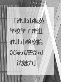 淮北市梅苑学校学子走进淮北市检察院沉浸式感受司法魅力