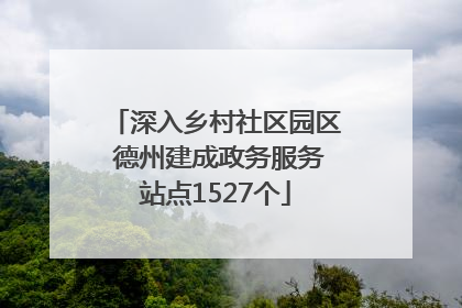 深入乡村社区园区 德州建成政务服务站点1527个