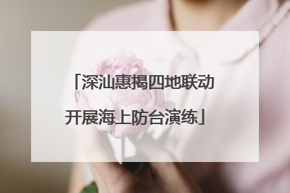 深汕惠揭四地联动开展海上防台演练
