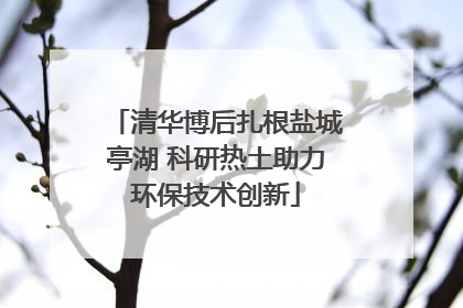 清华博后扎根盐城亭湖 科研热土助力环保技术创新