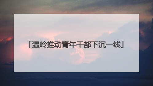 温岭推动青年干部下沉一线