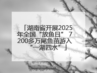 湖南省开展2025年全国“放鱼日” 7200多万尾鱼苗游入“一湖四水”