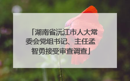 湖南省沅江市人大常委会党组书记、主任孟智勇接受审查调查