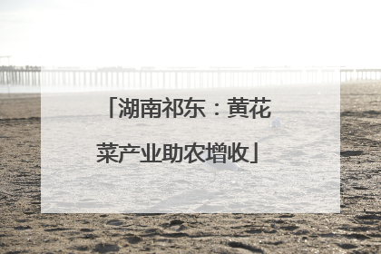 湖南祁东：黄花菜产业助农增收
