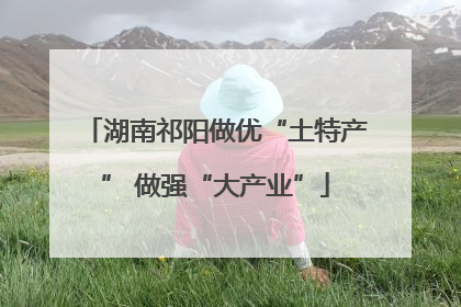 湖南祁阳做优“土特产” 做强“大产业”