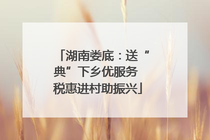 湖南娄底：送“典”下乡优服务 税惠进村助振兴