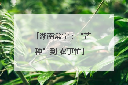 湖南常宁：“芒种”到 农事忙
