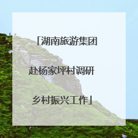 湖南旅游集团赴杨家坪村调研乡村振兴工作