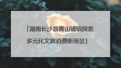 湖南长沙县青山铺镇探索多元化文旅消费新场景