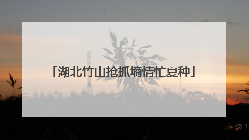 湖北竹山抢抓墒情忙夏种