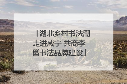 湖北乡村书法潮走进咸宁 共商李邕书法品牌建设