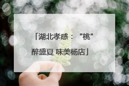 湖北孝感：“桃”醉盛夏 味美杨店