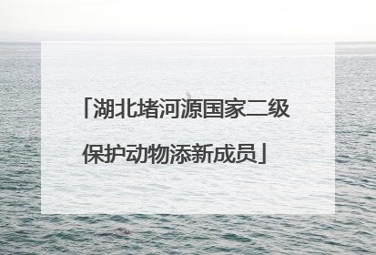 湖北堵河源国家二级保护动物添新成员