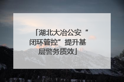 湖北大冶公安“闭环管控”提升基层警务质效