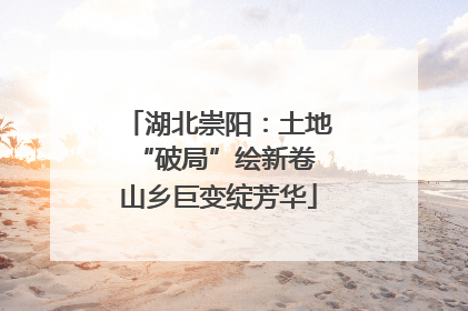 湖北崇阳：土地“破局”绘新卷 山乡巨变绽芳华