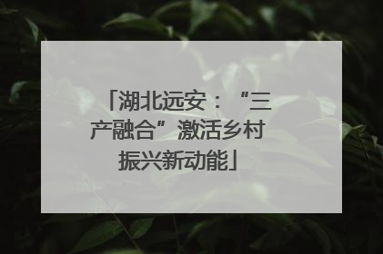 湖北远安：“三产融合”激活乡村振兴新动能
