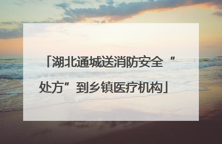 湖北通城送消防安全“处方”到乡镇医疗机构