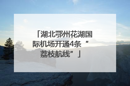 湖北鄂州花湖国际机场开通4条“荔枝航线”