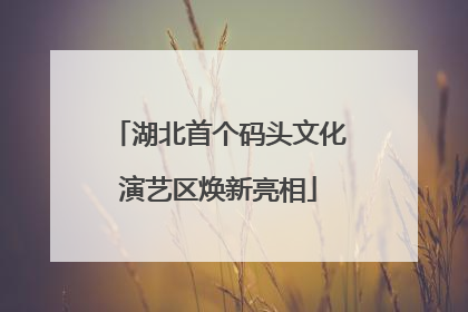 湖北首个码头文化演艺区焕新亮相
