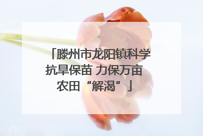 滕州市龙阳镇科学抗旱保苗 力保万亩农田“解渴”
