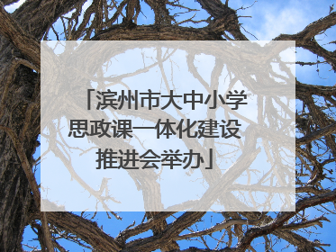 滨州市大中小学思政课一体化建设推进会举办