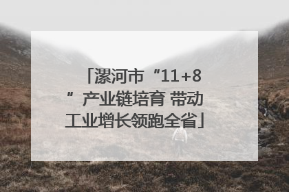 漯河市“11+8”产业链培育 带动工业增长领跑全省