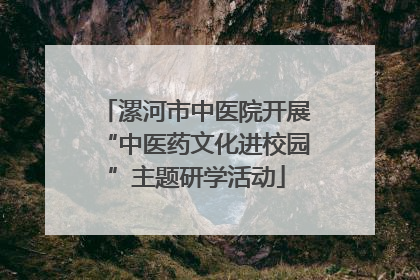 漯河市中医院开展“中医药文化进校园”主题研学活动
