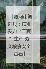 漯河市舞阳县：精准发力“三夏”生产 夯实粮食安全基石