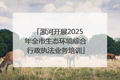 漯河开展2025年全市生态环境综合行政执法业务培训