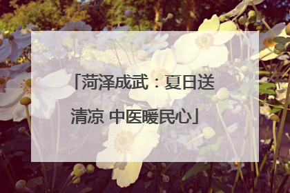 菏泽成武：夏日送清凉 中医暖民心