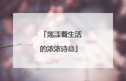荡漾着生活的浓浓诗意