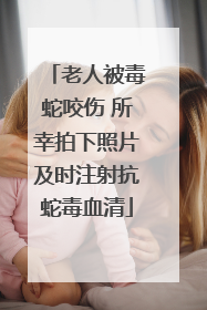 老人被毒蛇咬伤 所幸拍下照片及时注射抗蛇毒血清